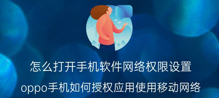 怎么打开手机软件网络权限设置 oppo手机如何授权应用使用移动网络？